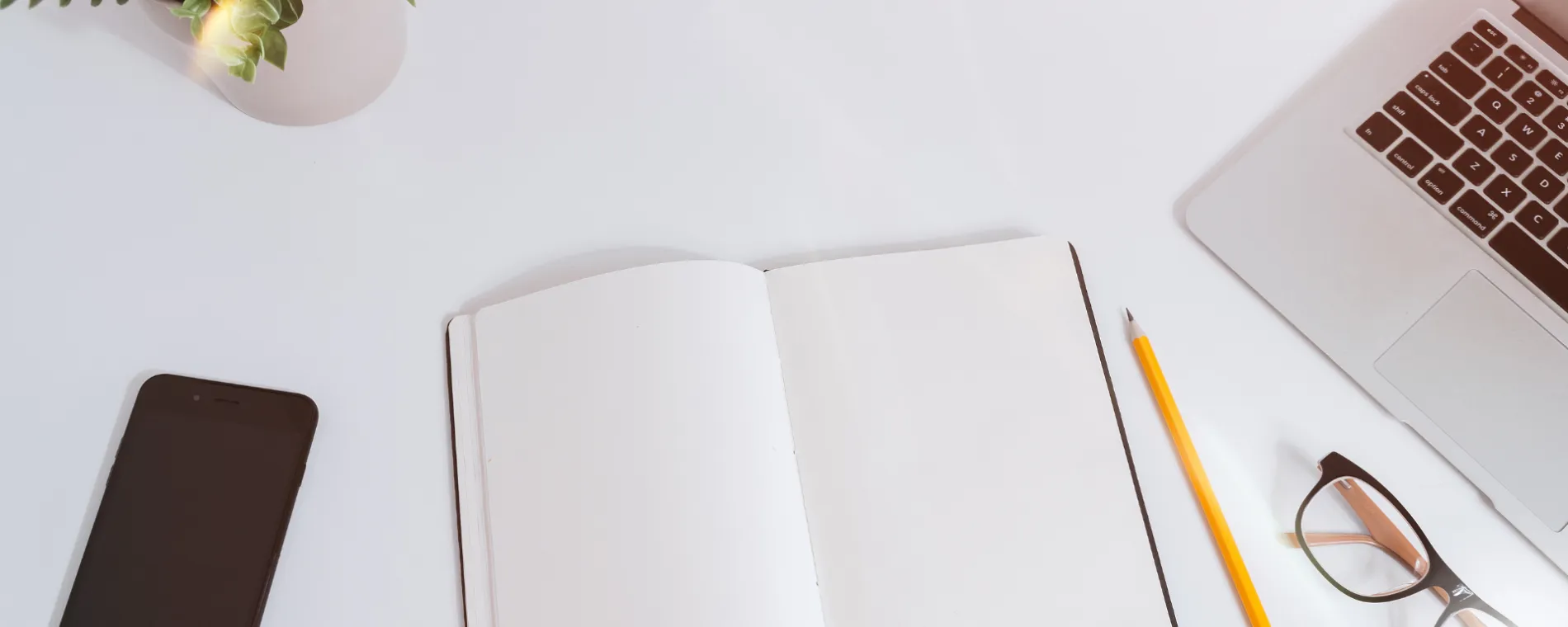 Start learning from the world’s best institutions